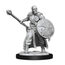 Nolzur's Marvelous Miniatures: Warforged Barbarian 