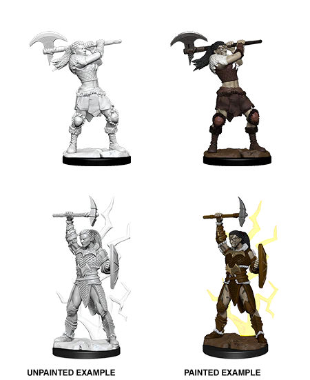 Nolzur's Marvelous Miniatures: Human Barbarian Male