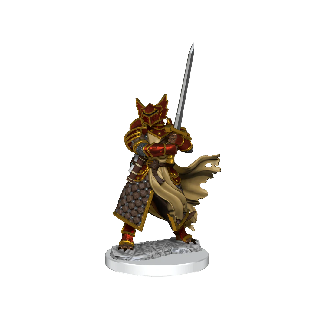 D&D Frameworks: Dragonborn Paladin Male