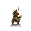 D&D Frameworks: Dragonborn Paladin Male