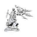 D&D Frameworks: Dragonborn Sorcerer Female