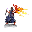 D&D Frameworks: Dragonborn Sorcerer Female