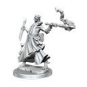 D&D Frameworks: Dragonborn Sorcerer Female
