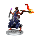 D&D Frameworks: Dragonborn Sorcerer Female