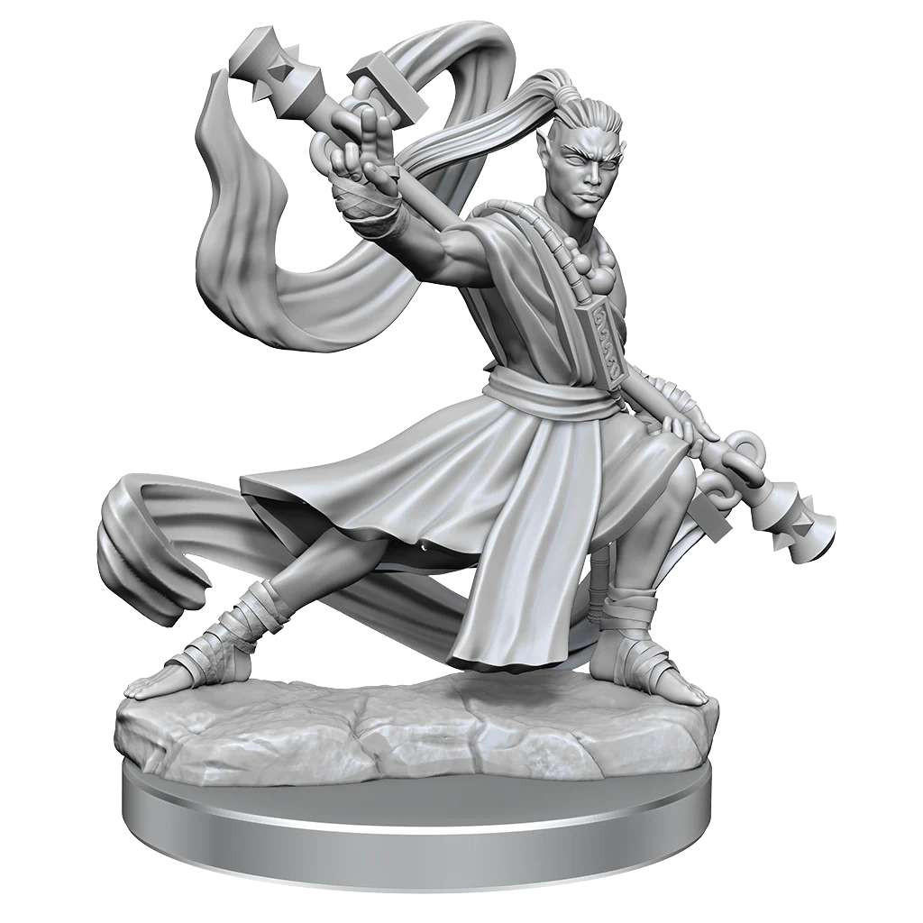 D&D Frameworks: Elf Monk Male