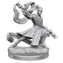 D&D Frameworks: Elf Monk Male