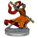 D&D Frameworks: Elf Monk Male