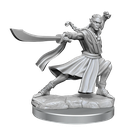 D&D Frameworks: Elf Monk Male
