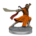 D&D Frameworks: Elf Monk Male