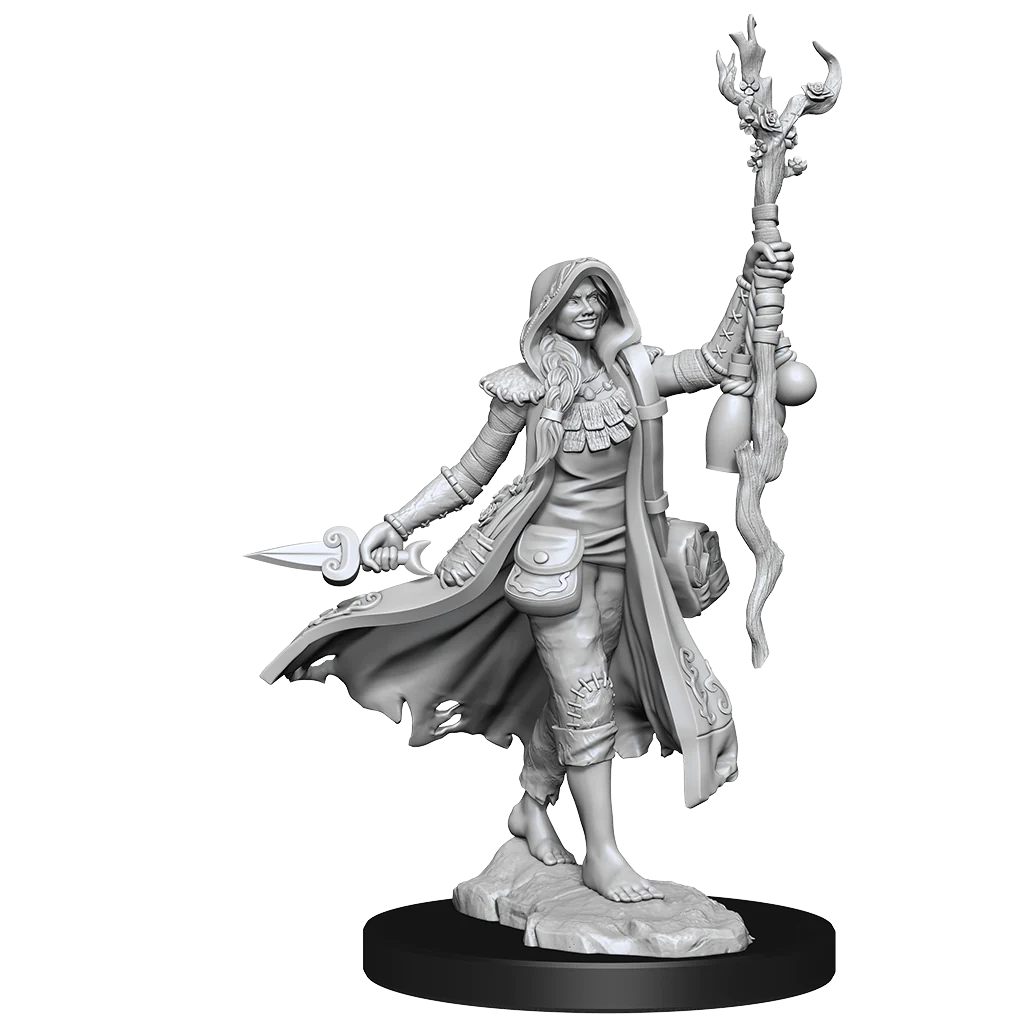 D&D Frameworks: Human Druid Female