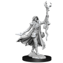 D&D Frameworks: Human Druid Female