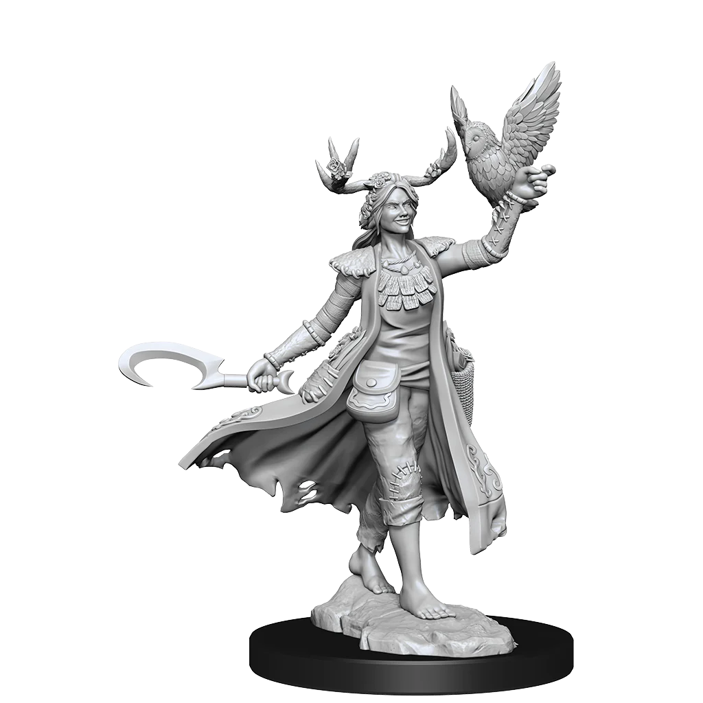D&D Frameworks: Human Druid Female