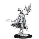 D&D Frameworks: Human Druid Female