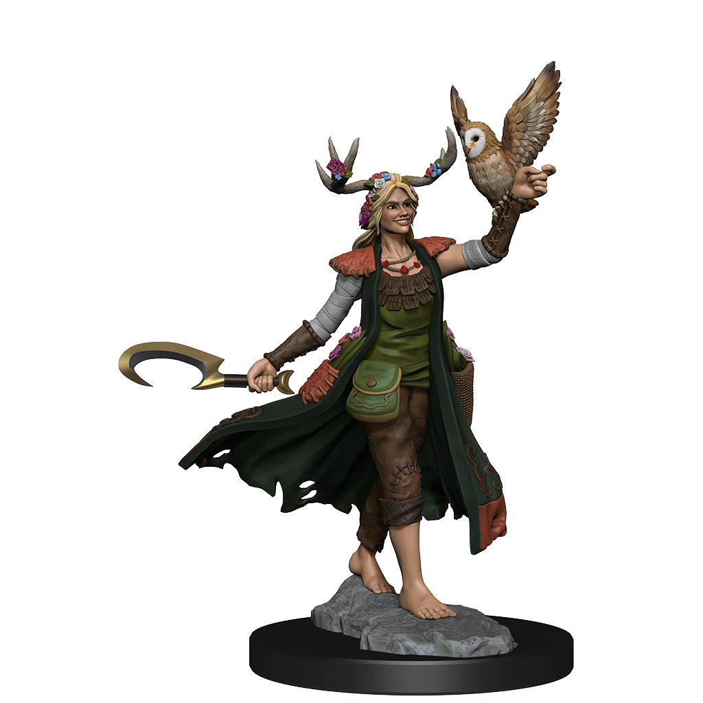 D&D Frameworks: Human Druid Female