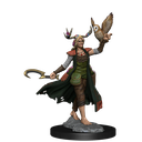 D&D Frameworks: Human Druid Female