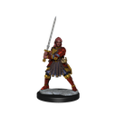 D&D Frameworks: Human Fighter Female
