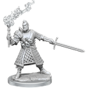 D&D Frameworks: Human Fighter Male