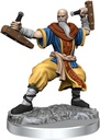 D&D Frameworks: Human Monk Male