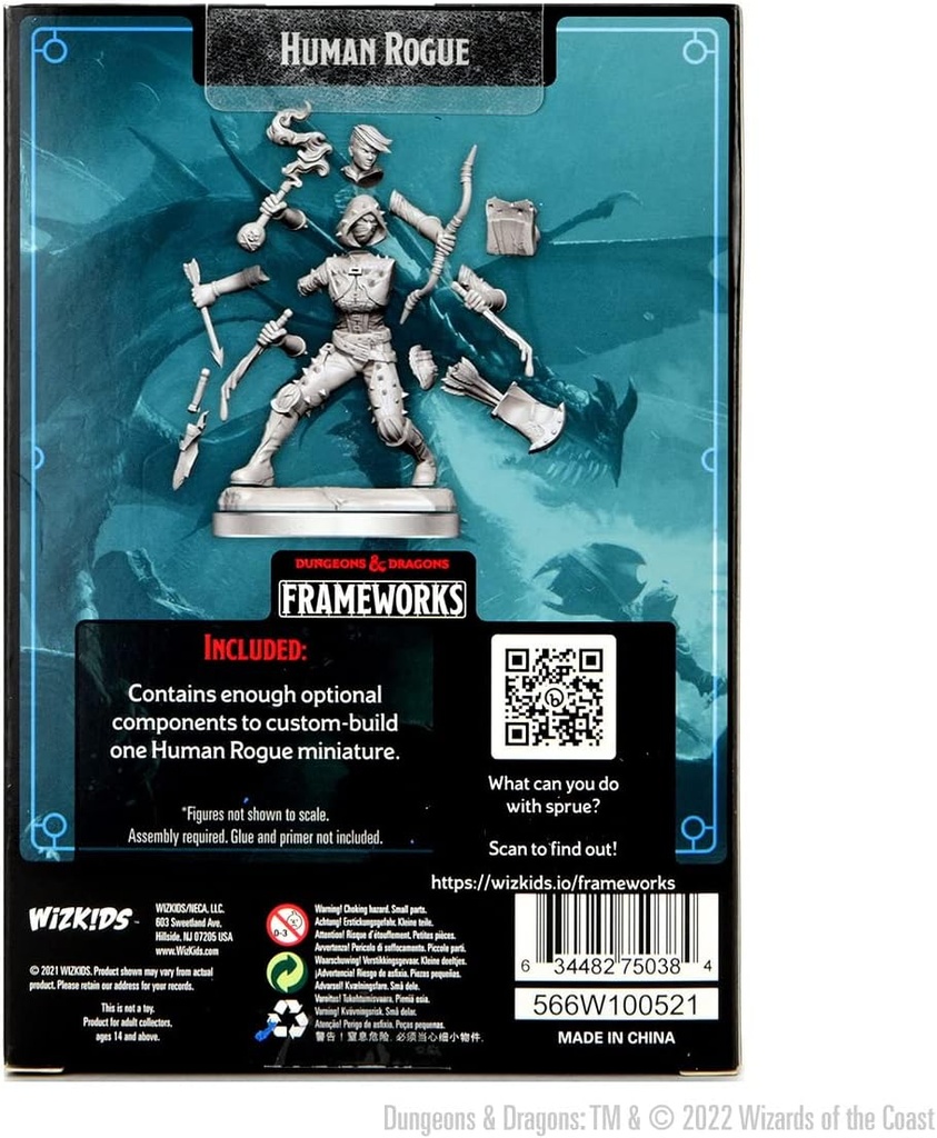 D&D Frameworks: Human Rogue Female