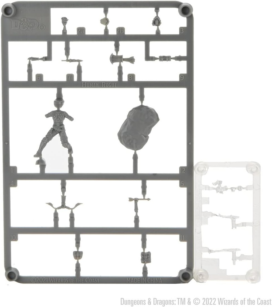 D&D Frameworks: Human Rogue Female