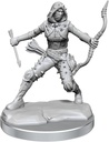 D&D Frameworks: Human Rogue Female