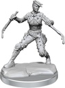 D&D Frameworks: Human Rogue Female