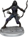 D&D Frameworks: Human Rogue Female