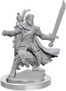 D&D Frameworks: Male Half-Elf Ranger