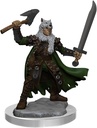 D&D Frameworks: Male Half-Elf Ranger