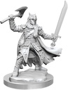D&D Frameworks: Male Half-Elf Ranger