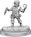 D&D Frameworks: Halfling Rogue Male