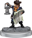 D&D Frameworks: Halfling Rogue Male