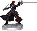 D&D Frameworks: Tiefling Rogue Female