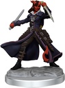 D&D Frameworks: Tiefling Rogue Female