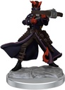 D&D Frameworks: Tiefling Rogue Female