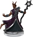 D&D Frameworks: Tiefling Warlock Male