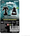 D&D Nolzur's Marvelous Miniatures: Allip & Deathlock