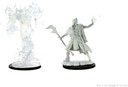 D&D Nolzur's Marvelous Miniatures: Allip & Deathlock