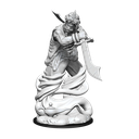 D&D Nolzur's Marvelous Miniatures: Djinni