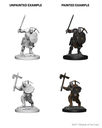 D&D Nolzur's Marvelous Miniatures: Earth Genasi Fighter Male
