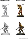 D&D Nolzur's Marvelous Miniatures: Githyanki