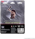 D&D Nolzur's Marvelous Miniatures: Hill Giant