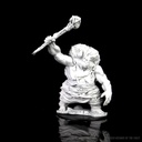 D&D Nolzur's Marvelous Miniatures: Hill Giant