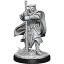 D&D Nolzur's Marvelous Miniatures: Hobgoblin Devastator & Hobgoblin Iron Shadow