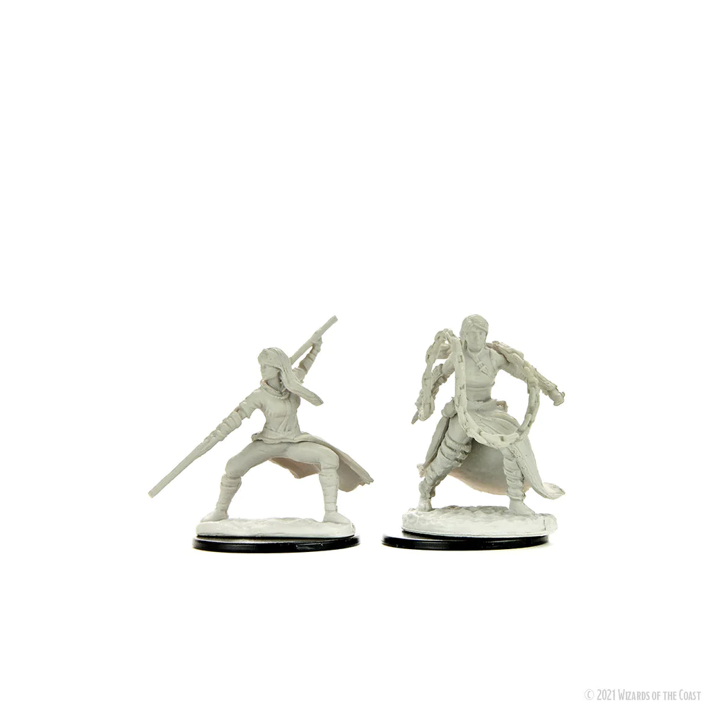 D&D Nolzur's Marvelous Miniatures: Human Monk  Female