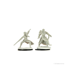 D&D Nolzur's Marvelous Miniatures: Human Monk  Female