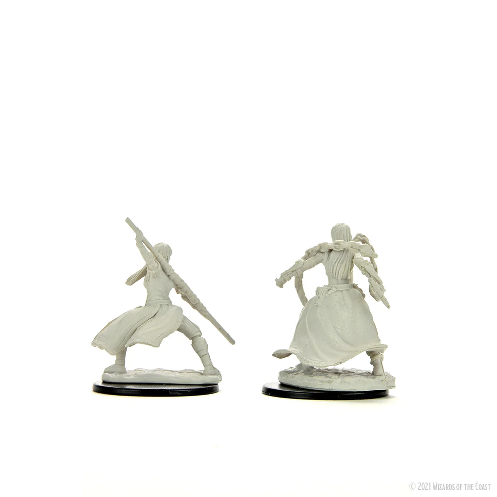 D&D Nolzur's Marvelous Miniatures: Human Monk  Female