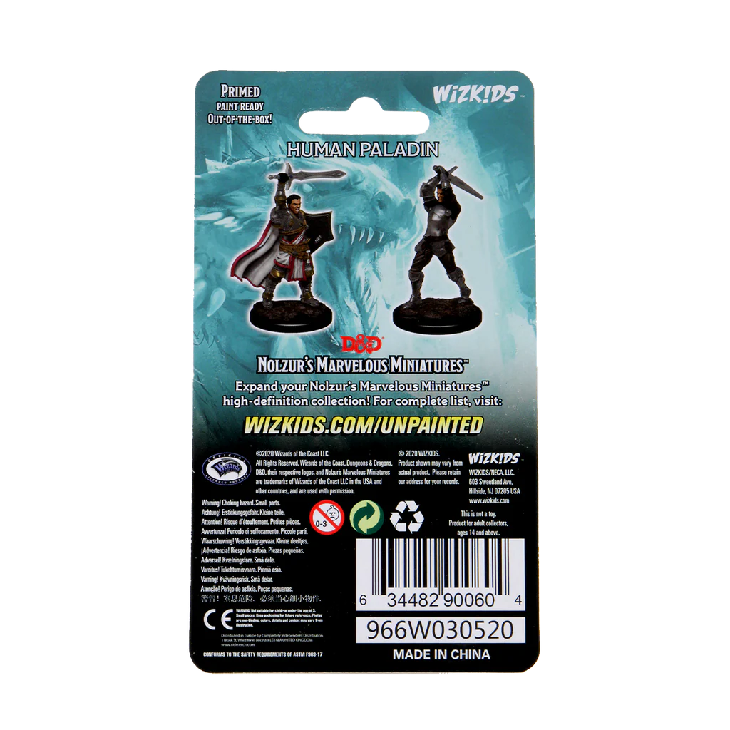 D&D Nolzur's Marvelous Miniatures: Human Paladin Male 2