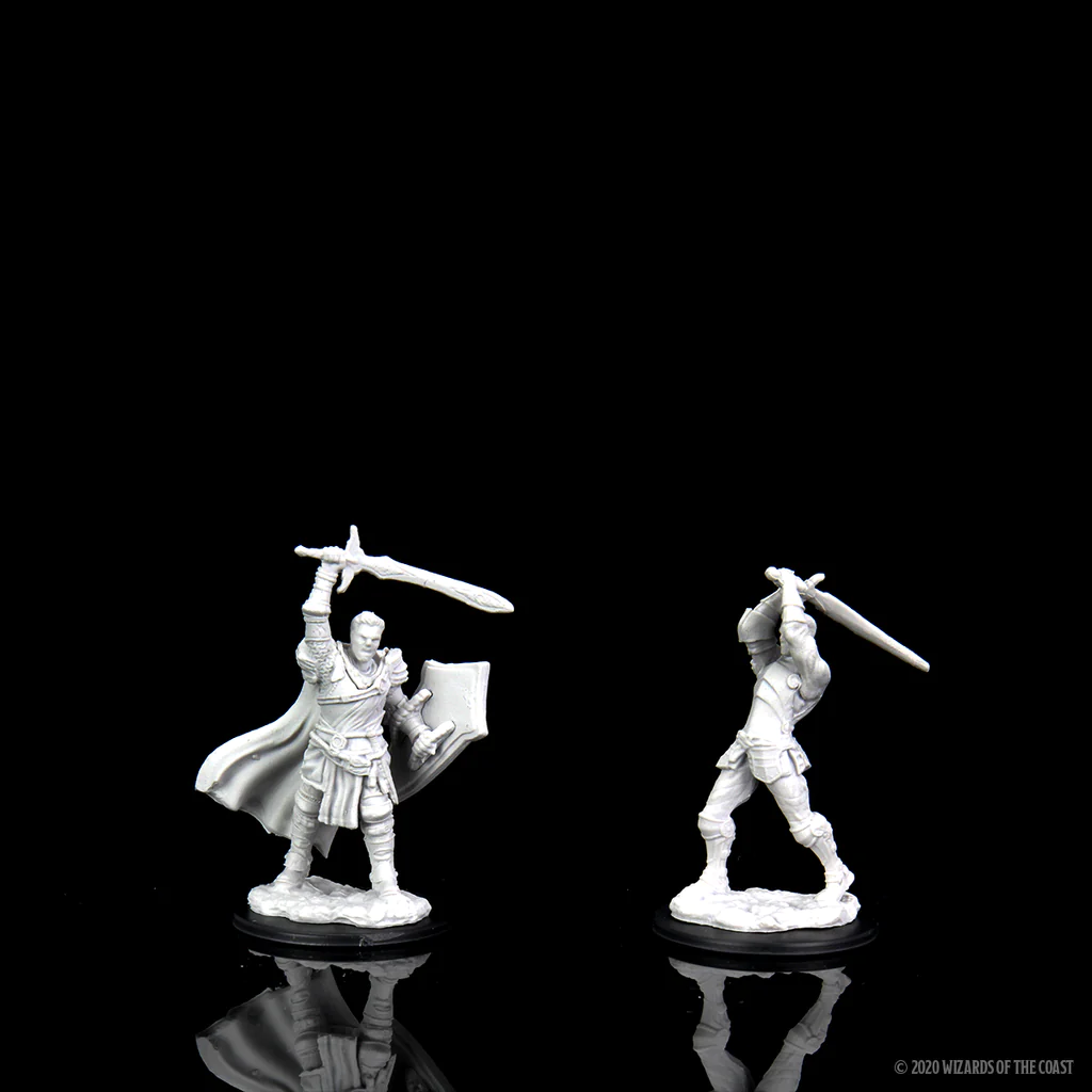 D&D Nolzur's Marvelous Miniatures: Human Paladin Male 2