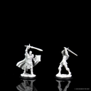 D&D Nolzur's Marvelous Miniatures: Human Paladin Male 2